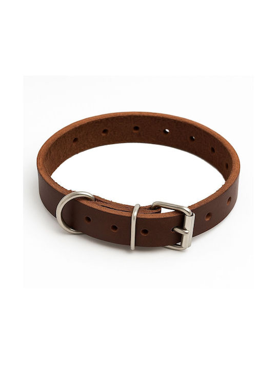 Vltools Hundehalsband Leder