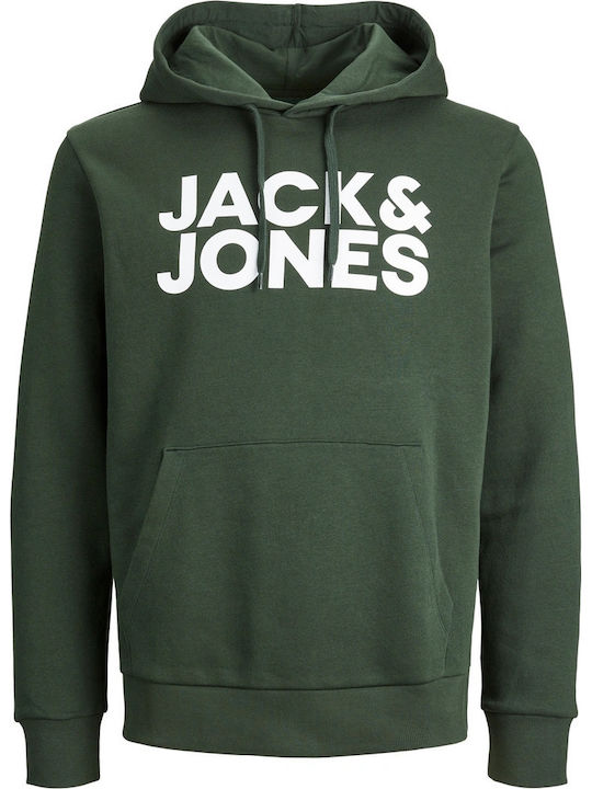 Noos Sweatshirt with Hood Mountain View