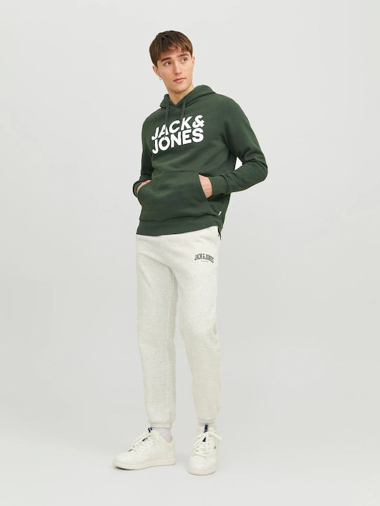 Noos Sweatshirt with Hood Mountain View