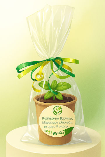 Party Gifts 10 pieces Small biodegradable pot 9x7cm, Ready for Planting with Soil and Basil Seeds