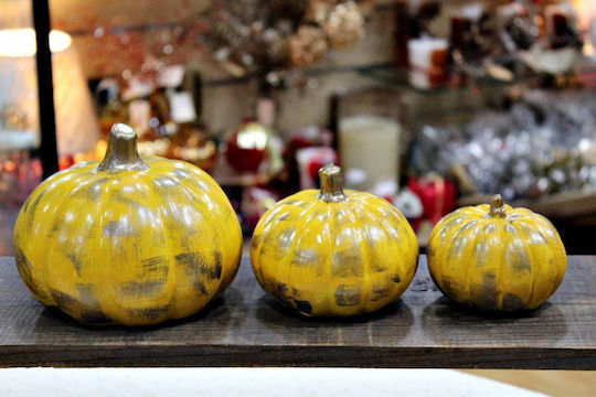 Pumpkin Plaster Medium 11.3 X 9.5cm Yellow