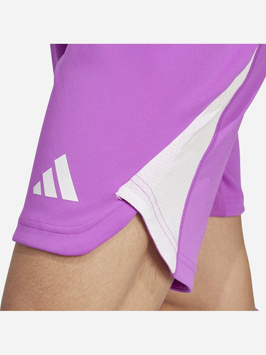 Pantaloni Scurți Sport Bărbați Violet