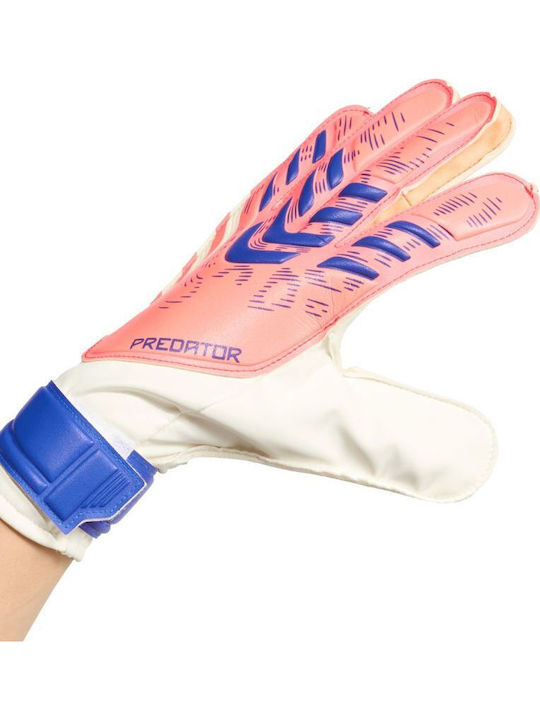 adidas Predator Pro Torwarthandschuhe Erwachsene Weiß