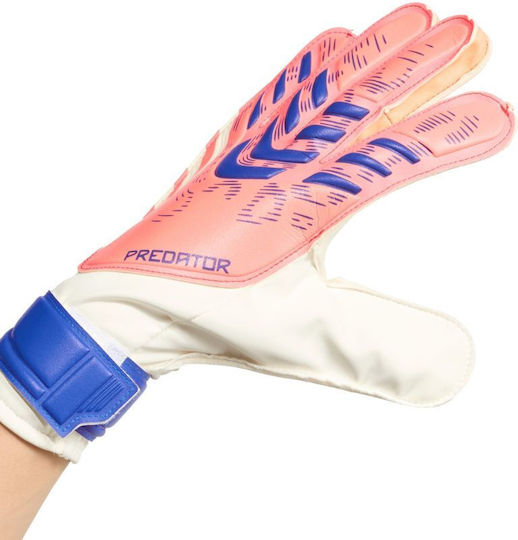 adidas Predator Pro Torwarthandschuhe Erwachsene Weiß