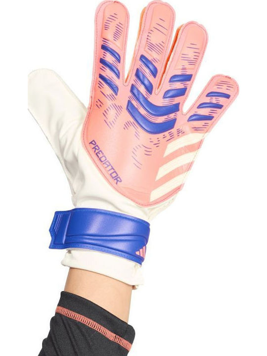 adidas Predator Pro Torwarthandschuhe Erwachsene Weiß