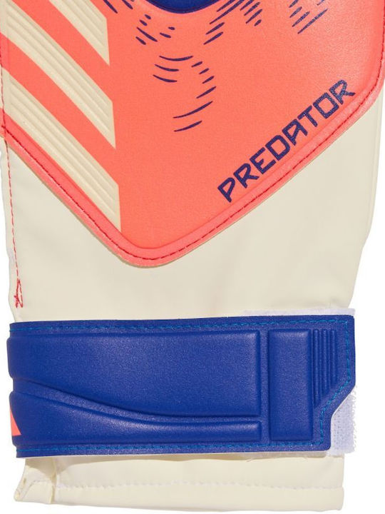 adidas Predator Pro Torwarthandschuhe Erwachsene Weiß