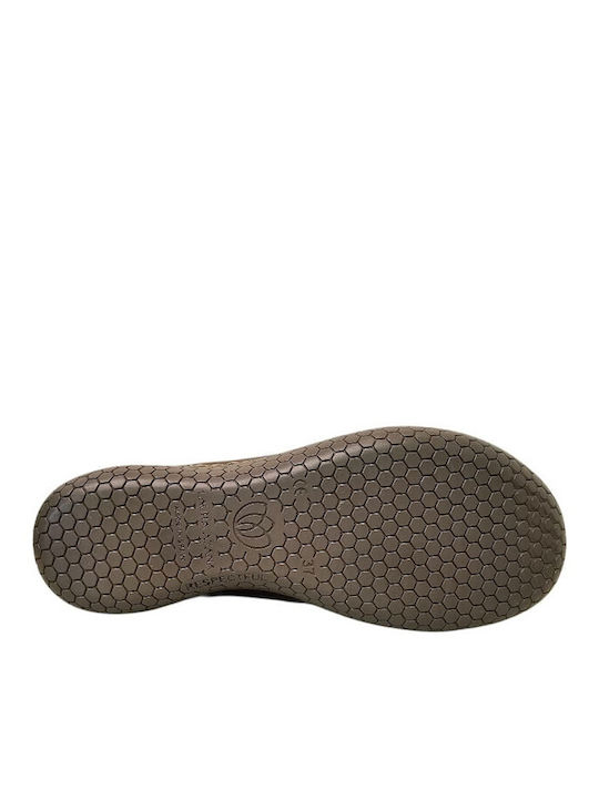 Sneakers Brown