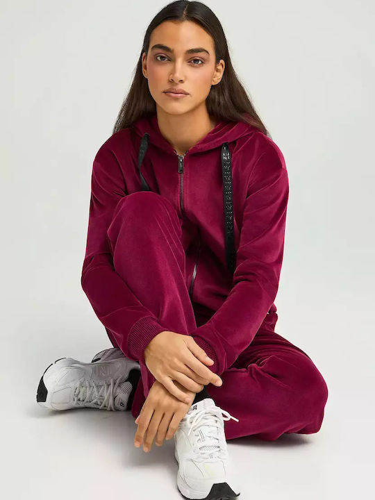 Sweatpants Velvet Burgundy