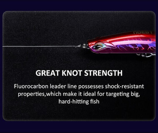 Fluoro Carbon Noeby Nonsuch 100m 0,20mm