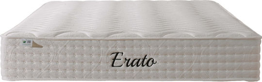 Como felt & wadding producers Erato Queen Anatomic Saltea Față-verso 160x200cm