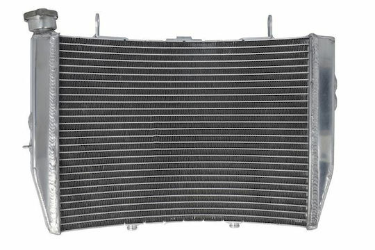 4 Ride Motorcycle Engine Radiator Suzuki GSX-R 1000
