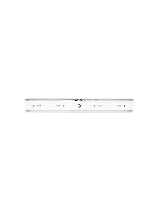 kelvo Triple Spot with Socket GU10 in White Color