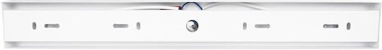 kelvo Triple Spot with Socket GU10 in White Color