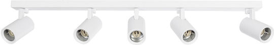 kelvo Spot with 5 Lights and with Socket GU10 in White Color