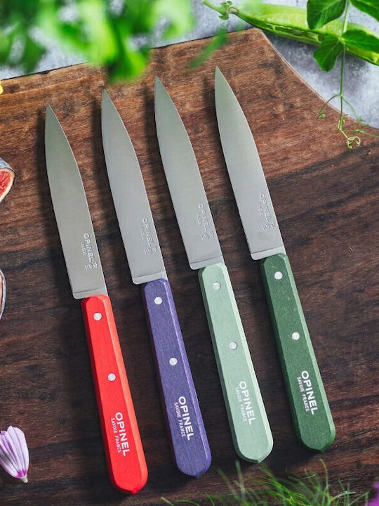 Opinel Cuțit de curățat din Oțel Inoxidabil