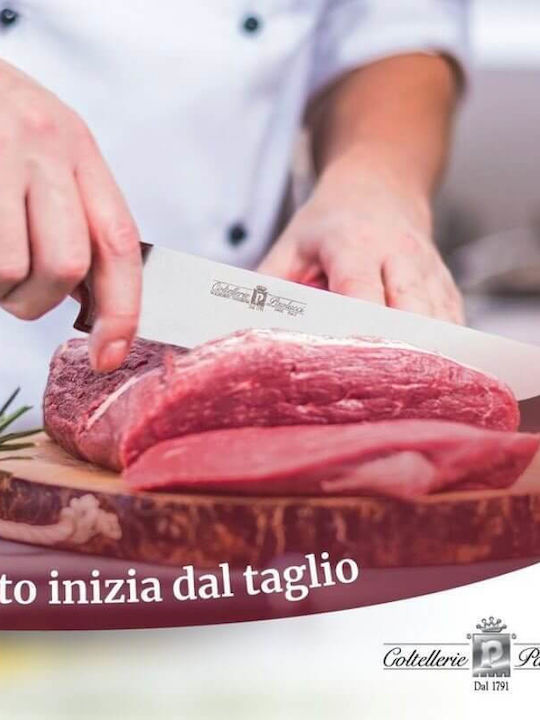 Paolucci Coltellerie Μαχαίρι Κρέατος από Ανοξείδωτο Ατσάλι 36cm