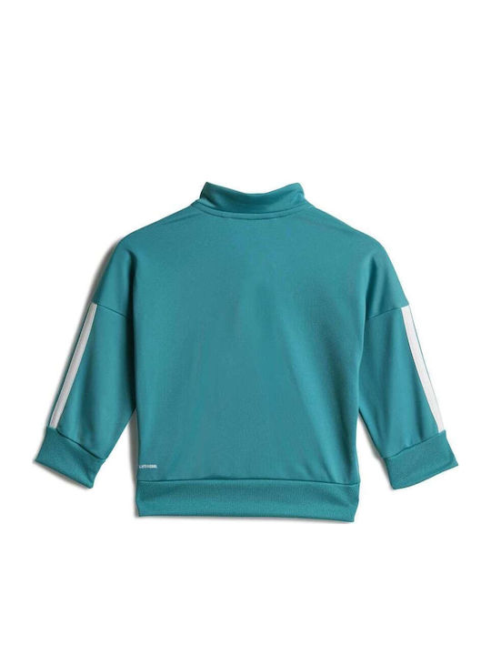 Kinder Sweatpants Set - Jogginganzug Black/Green 2Stück Essentials