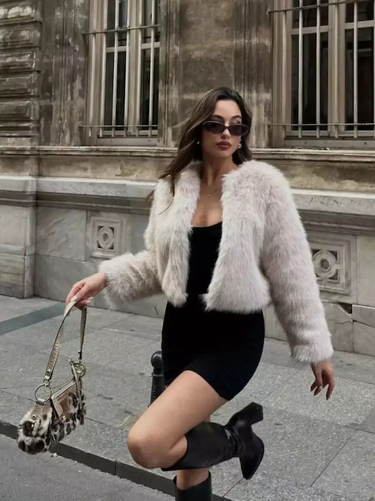 Enter Fashion Enter Fashion