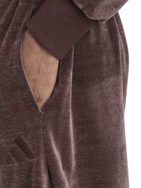M A Szn Pantaloni de trening Maro