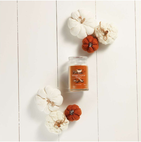 Yankee Candle Αρωματικό Κερί Signature σε Βάζο με Άρωμα Cinnamon Stick 567gr