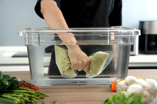 Vesta Precision Grainy Vacuum Sealer Bag 250x350mm 100pcs