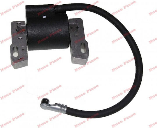 Ignition Briggs&stratton 843931