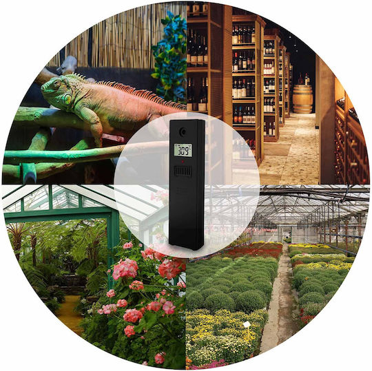Berdsen BD-914 Drahtlos Wetterstation Digital Tischplatte Schwarz