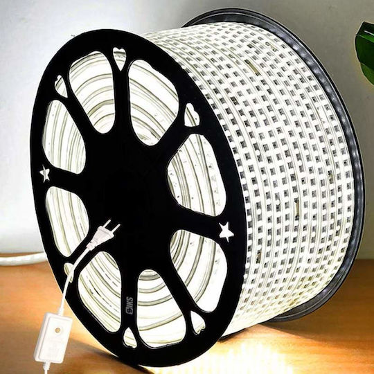 Christmas Light Tube Cold White 220V 480 Light Bulbs IP65
