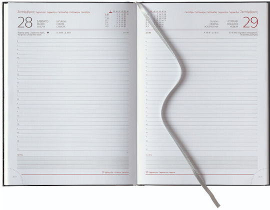 Daily Diary 2026 Theofylaktos 17.5x24cm Sidney Classic Black L 68720.c72