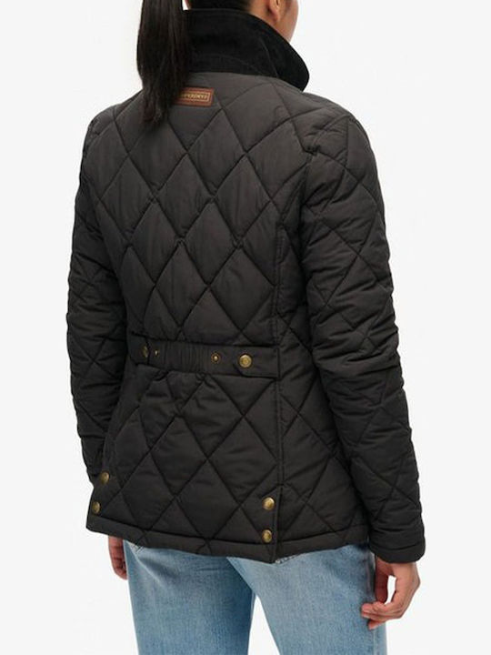 Superdry Superdry