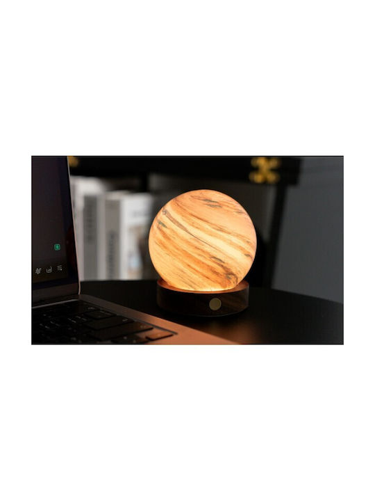 Gingko Light Decorative Lamp