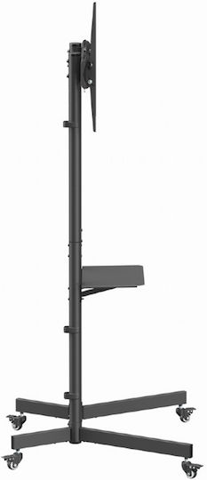 Gembird TVS-70T-01 Βάση Τηλεόρασης Δαπέδου έως 70" Μαύρο