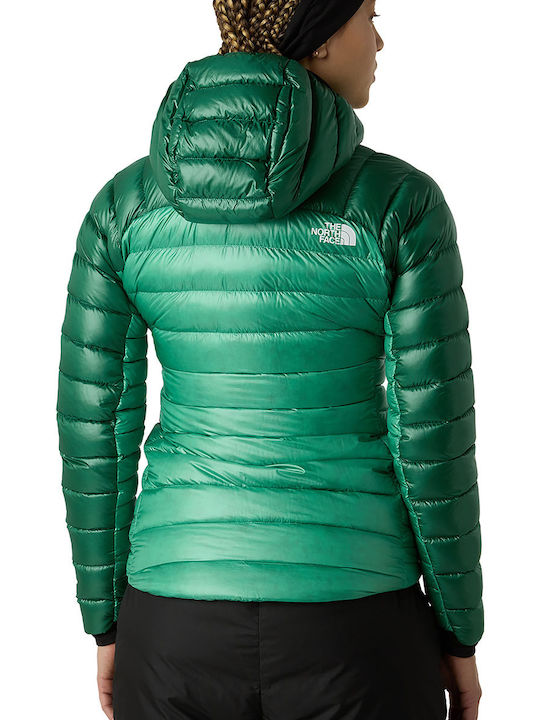 The North Face The North Face