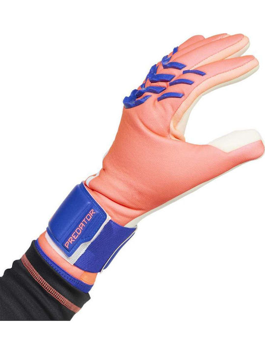 adidas Pred Gl Lge Γάντια Τερματοφύλακα Ενηλίκων Μπεζ