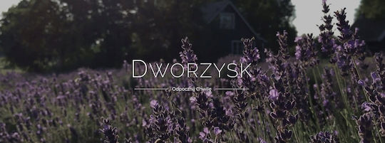 Dworzysk Τσάι 100gr