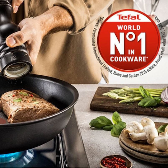 Tefal Excellence Тиган от Алуминий с Капак с Незалепващо Покритие 24см