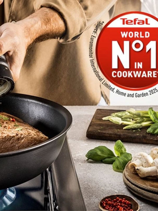 Tefal Excellence Pan made of Aluminum with Non-Stick Coating 32cm
