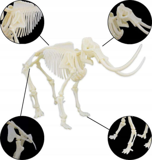 Clementoni Educational Game Dinosaur Excavation