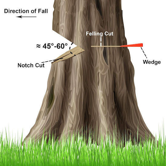 Holzfforma 8" Felling Wedge