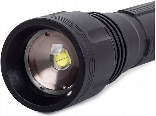 Bailong LED