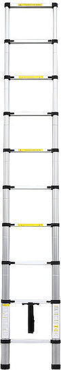 Bormann Telescopic Ladder Aluminum 12 of Steps