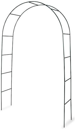 Garden Arch Made of Metal 140x240cm