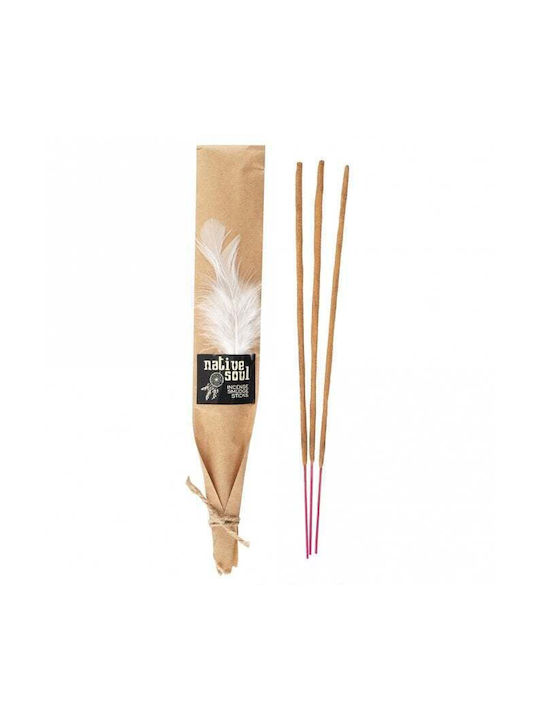 Home Fragrance Sticks Native Soul Scent White Sage Dragon's Blood 15g