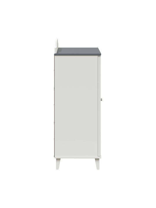 Zwei Türen Schrank Gray 80x40x110cm