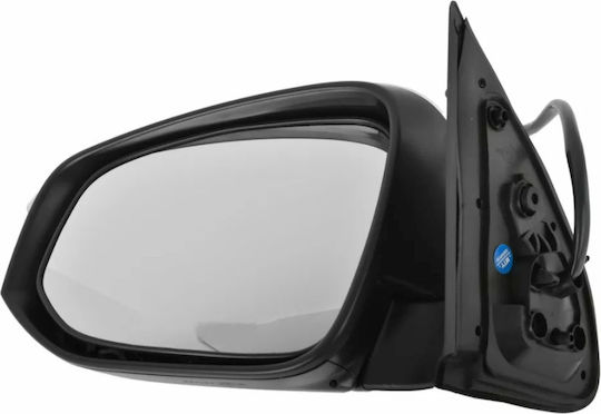 Electric Car Left Side Mirror with Signal