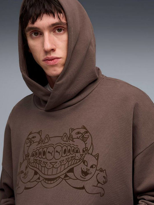 Sweatshirt mit Kapuze Bronze