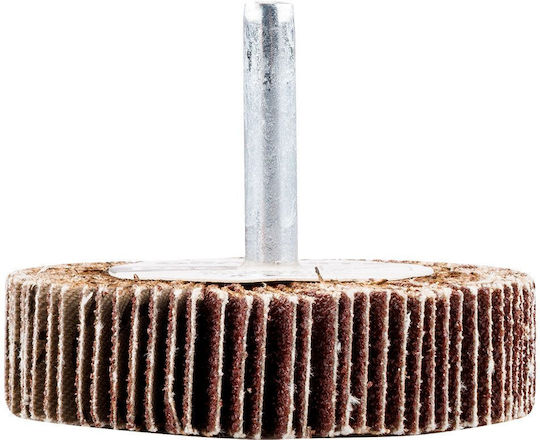 Flap Disc 60 X 15 X 6 Mm P100