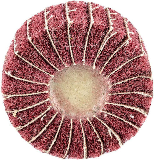 Flap Disc 60 X 25 X 6 Mm P80