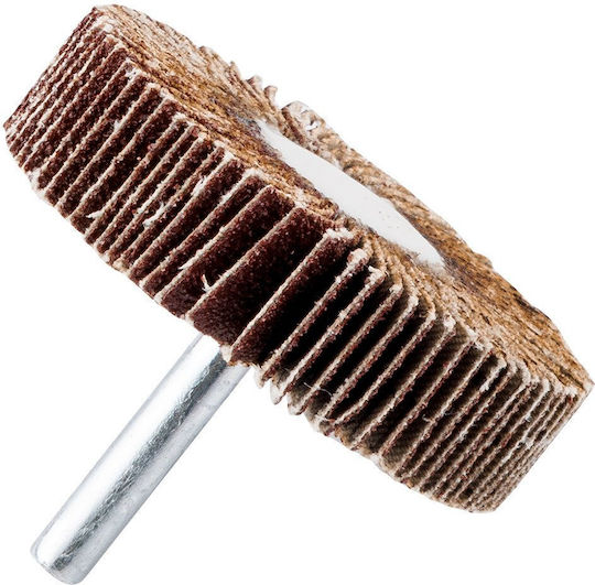 Flap Disc 60 X 15 X 6 Mm P100