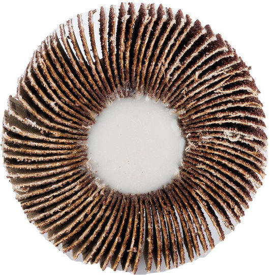 Flap Disc 60 X 15 X 6 Mm P40